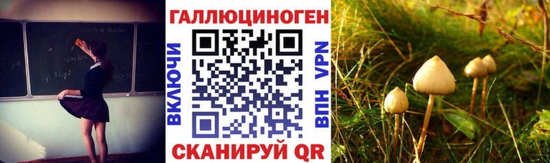 Псилоцибиновые грибы мухоморы  наркотики  Бородино 